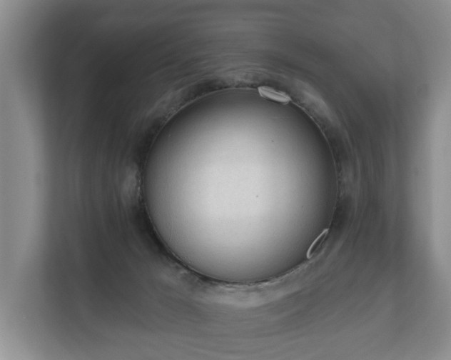 X0000111610029200907241019