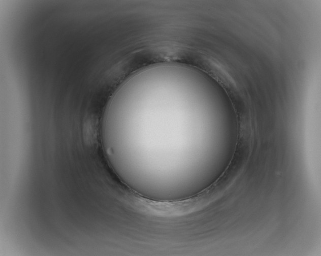 X0000111610030200907241019