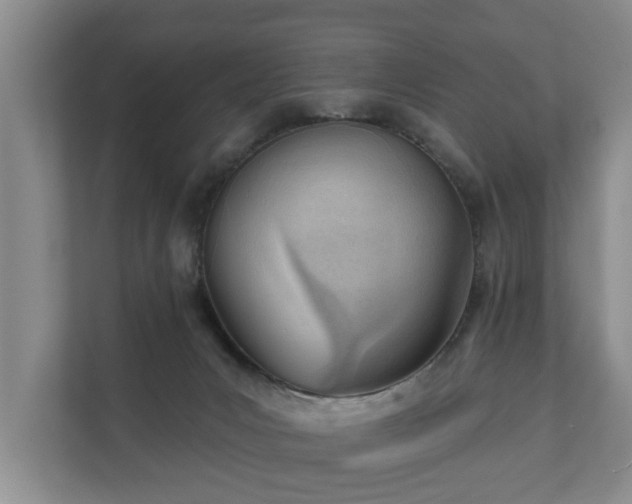 X0000111610031200907241019