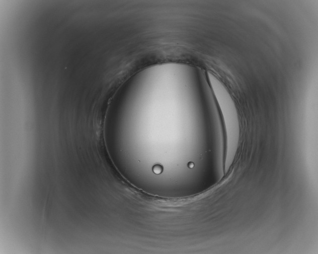 X0000111610033200907241019