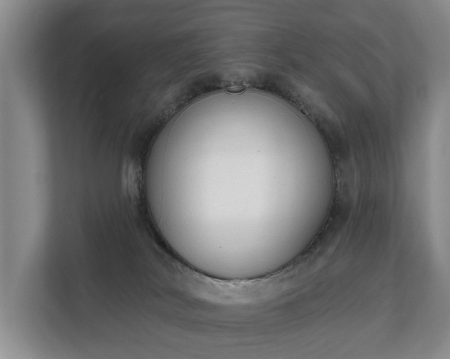X0000111610038200907241018