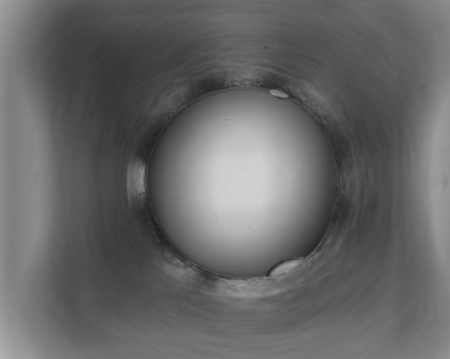 X0000111610041200907241018