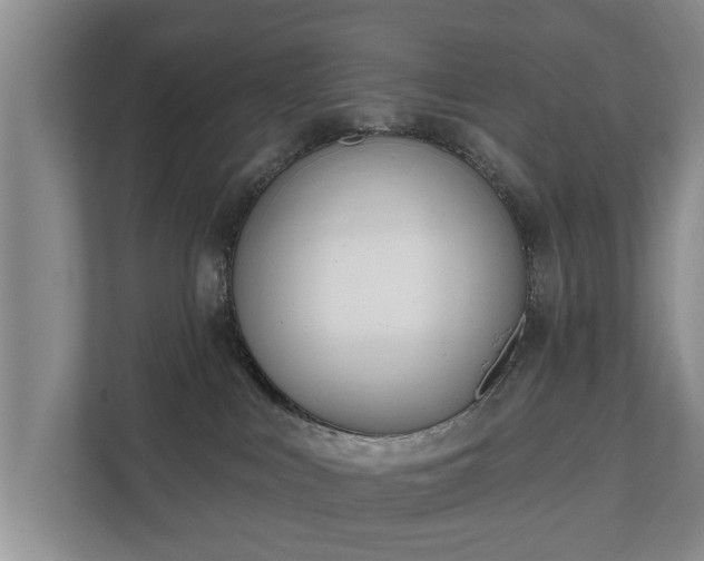 X0000111610043200907241018