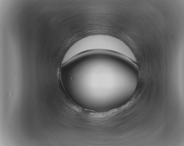 X0000111610045200907241018