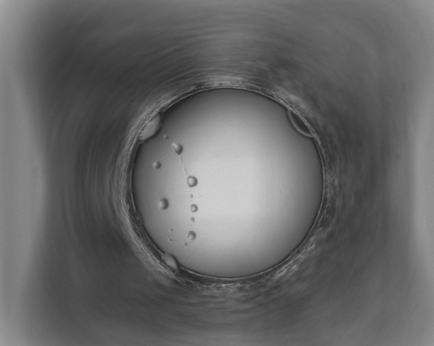 X0000111610049200907241018