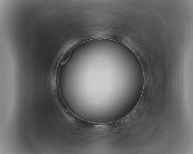 X0000111610050200907241018