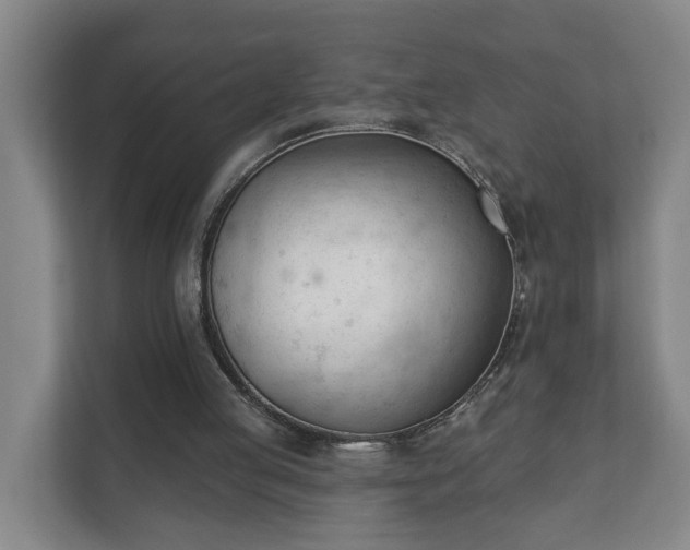 X0000111610053200907241018