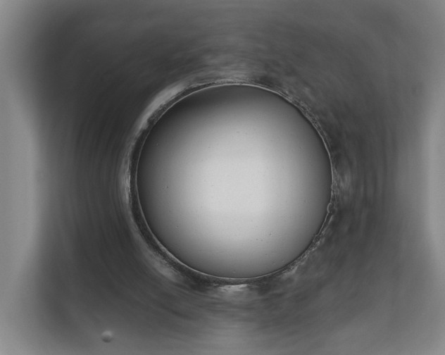 X0000111610054200907241018