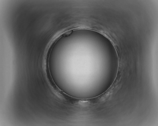 X0000111610055200907241018