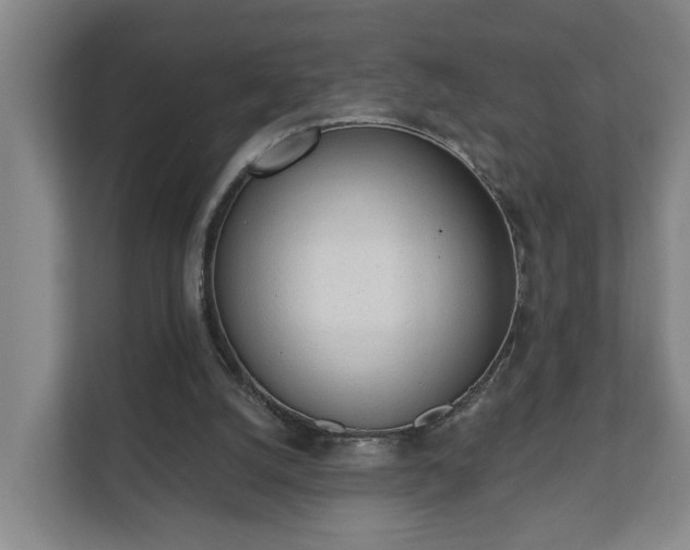 X0000111610056200907241018