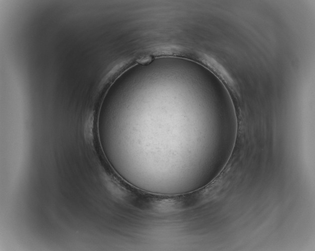 X0000111610058200907241018
