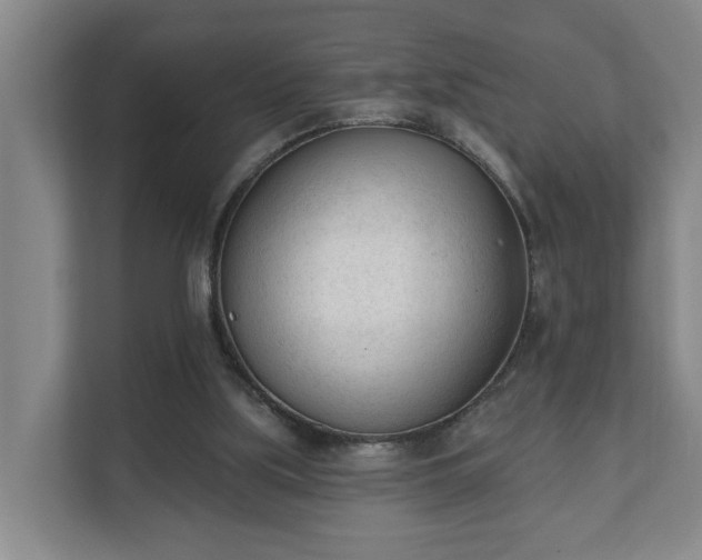 X0000111610059200907241018