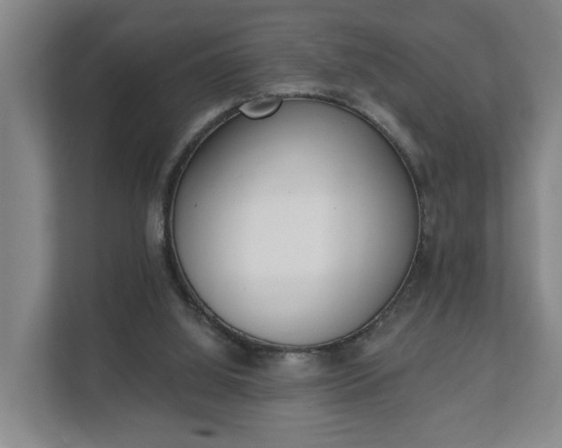 X0000111610060200907241018