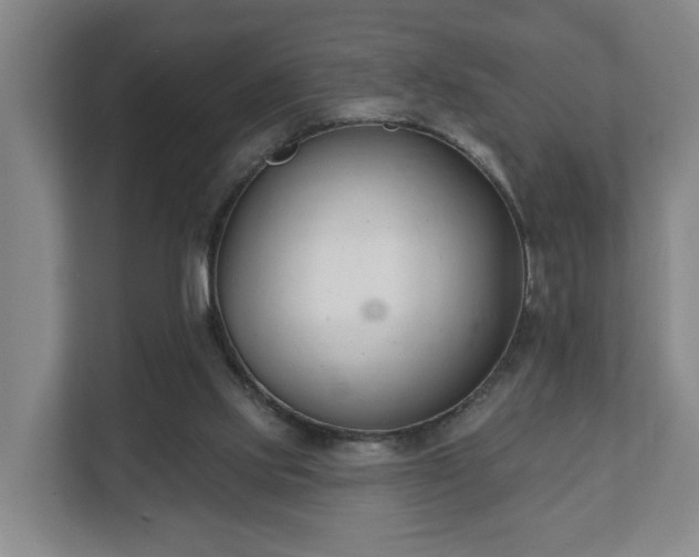 X0000111610061200907241018