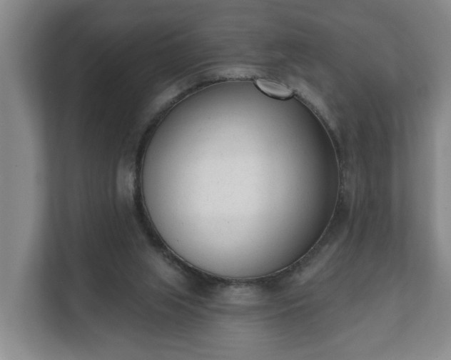 X0000111610063200907241018