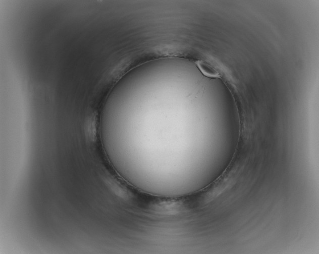 X0000111610065200907241018