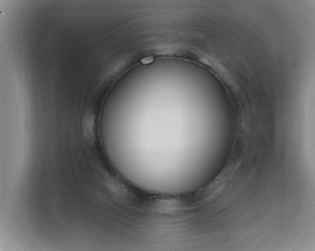 X0000111610066200907241018