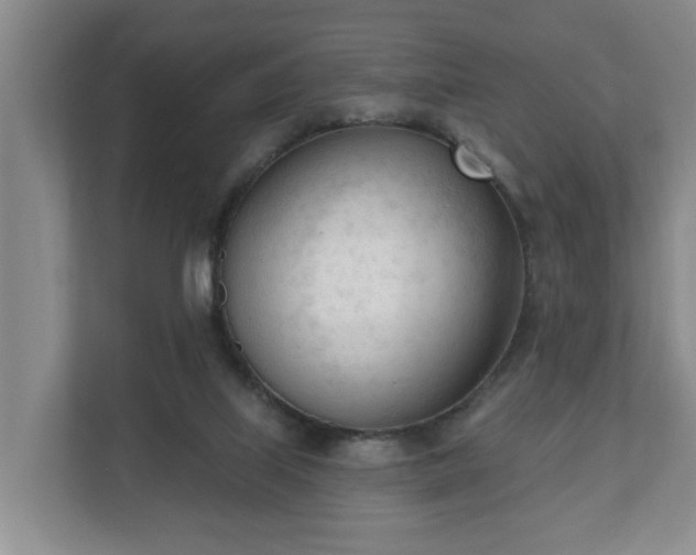X0000111610067200907241018