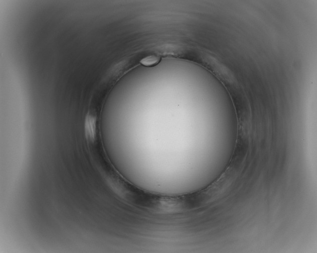 X0000111610070200907241018