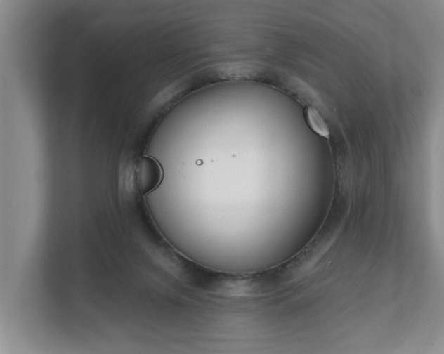 X0000111610071200907241018