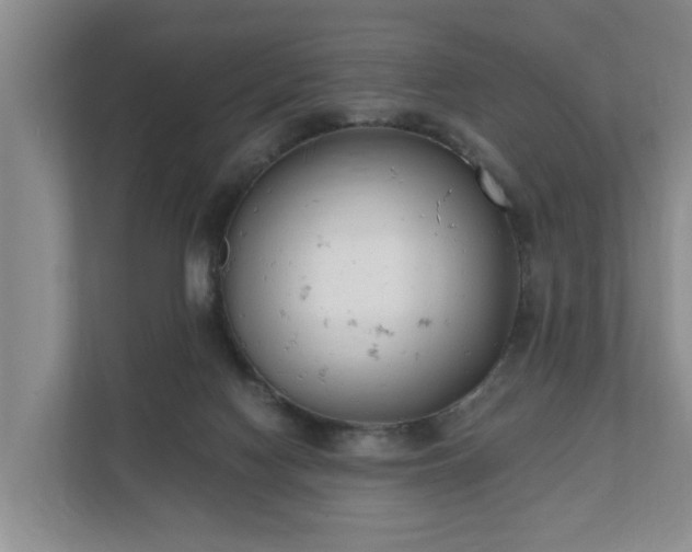 X0000111610074200907241018