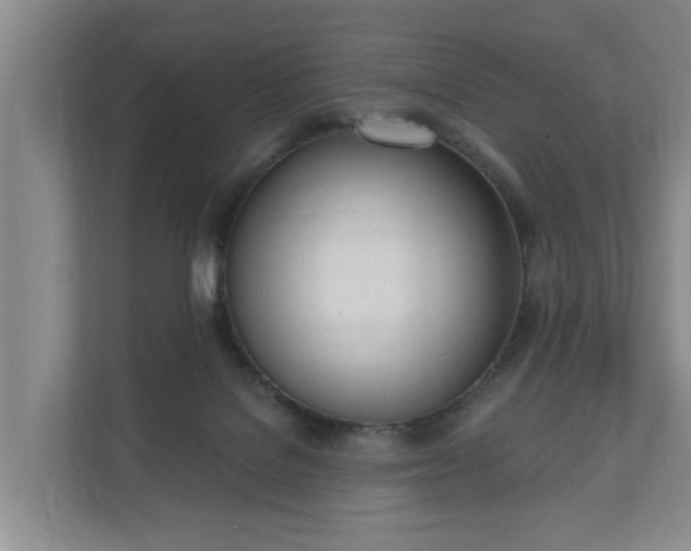 X0000111610076200907241018