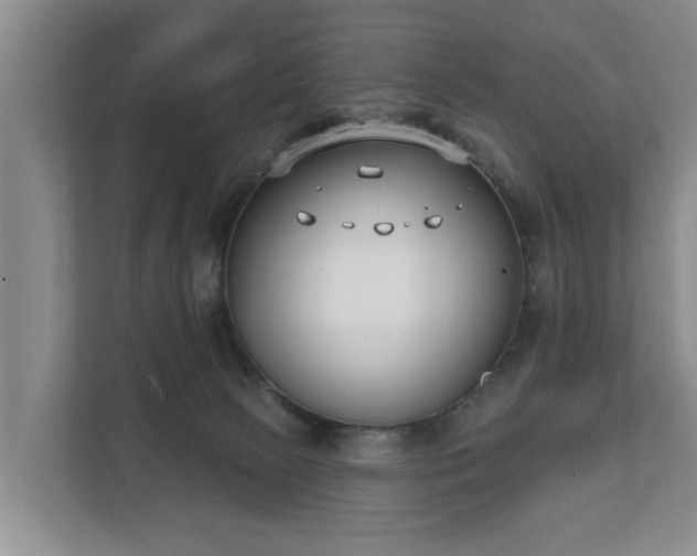 X0000111610081200907241018