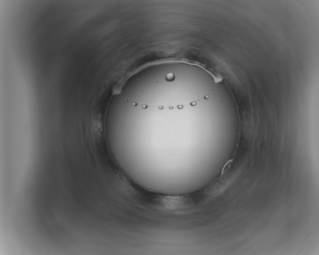 X0000111610085200907241018