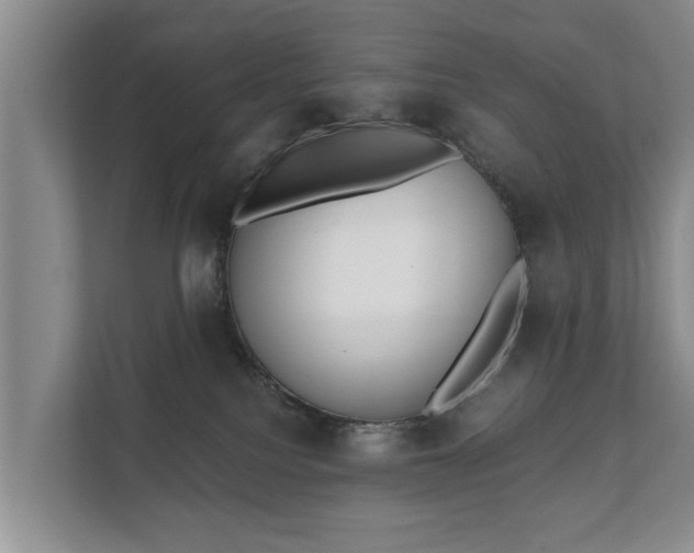 X0000111610088200907241018