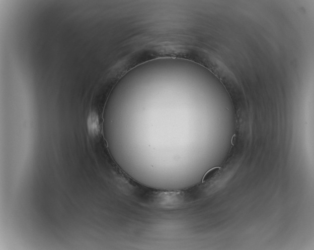 X0000111610089200907241018