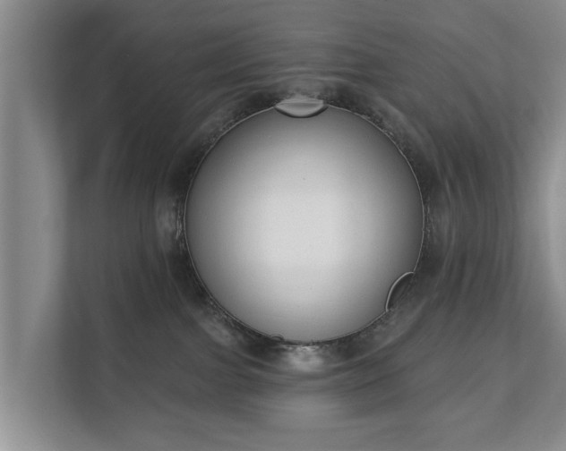 X0000111610091200907241018