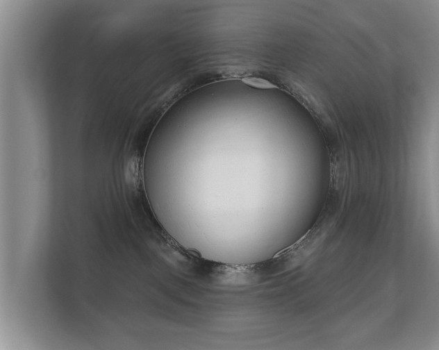 X0000111610093200907241018