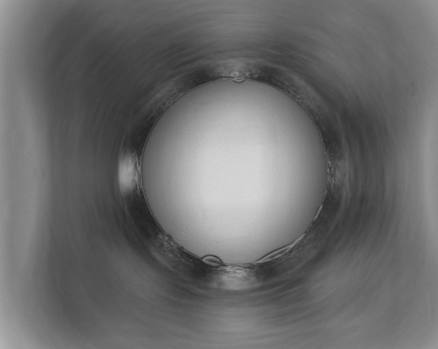 X0000111610095200907241018