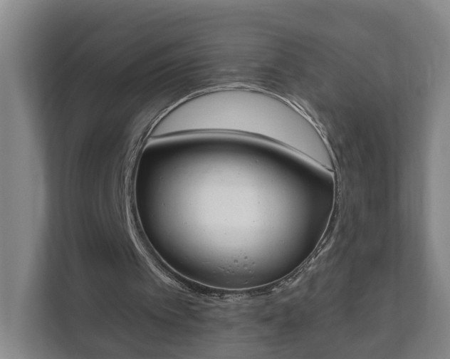 X0000111610097200907241018