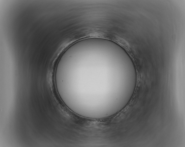 X0000111610098200907241018