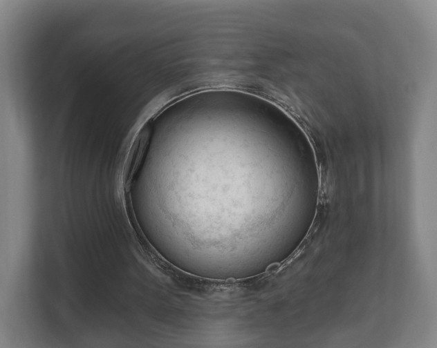 X0000111610099200907241018