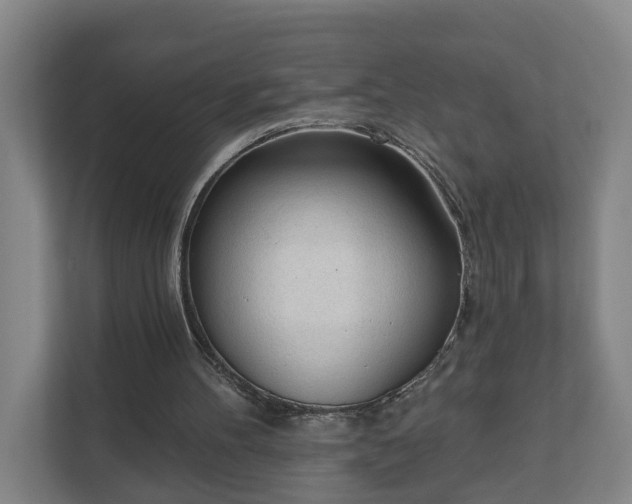 X0000111610100200907241018