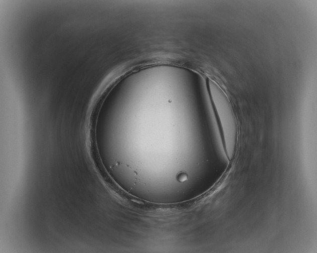 X0000111610101200907241018