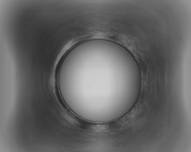 X0000111610102200907241018