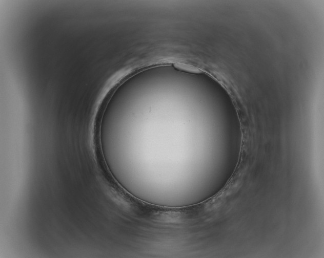 X0000111610104200907241018