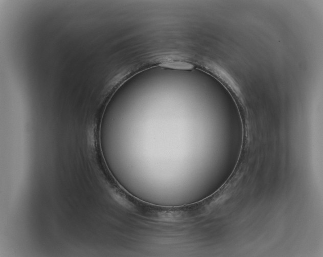 X0000111610105200907241018