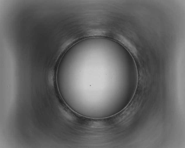 X0000111610107200907241018