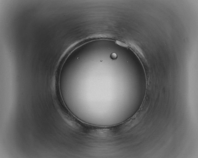 X0000111610108200907241018