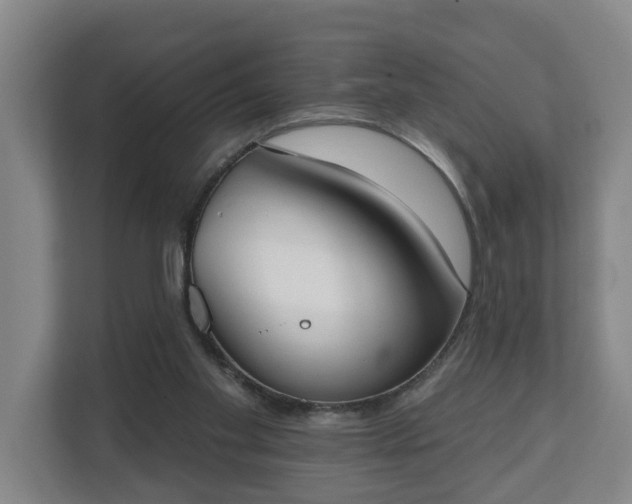 X0000111610109200907241018