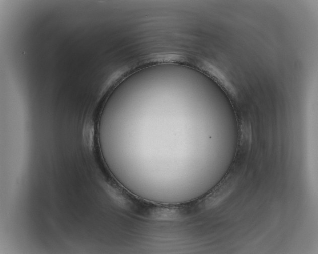 X0000111610110200907241018