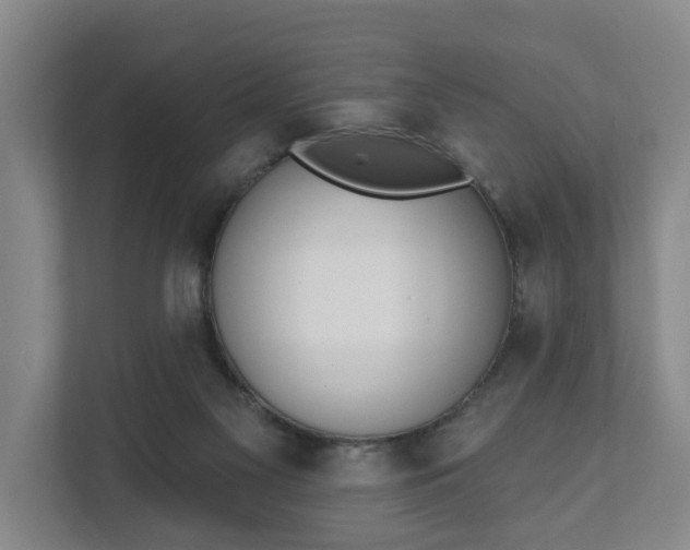 X0000111610117200907241017
