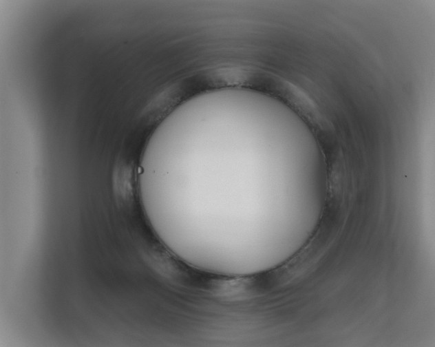 X0000111610122200907241017