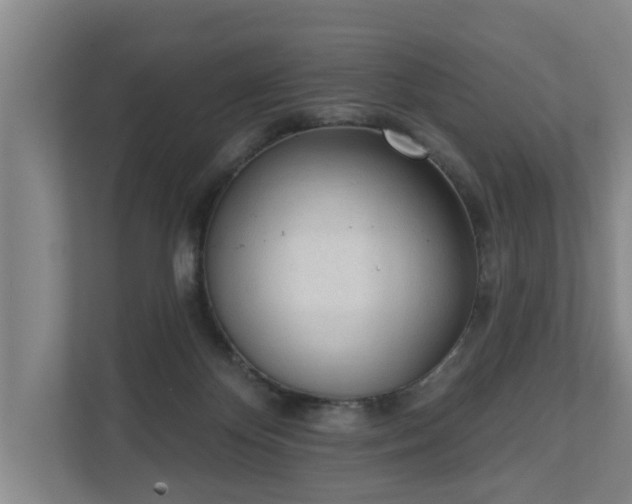 X0000111610124200907241017