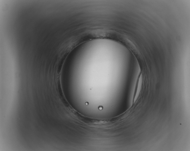 X0000111610125200907241017