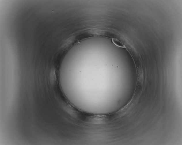 X0000111610128200907241017